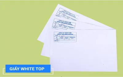 Sản phẩm whitetop liner 6564 — Công Ty TNHH Giấy Và Bao Bì Đồng Tiến — MST 0302318825