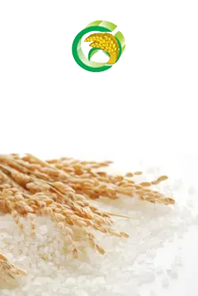 Sản phẩm 711030649092618_222x332 — Cẩm Nguyên - Công Ty Cổ Phần Thép Cẩm Nguyên — MST 0302323705