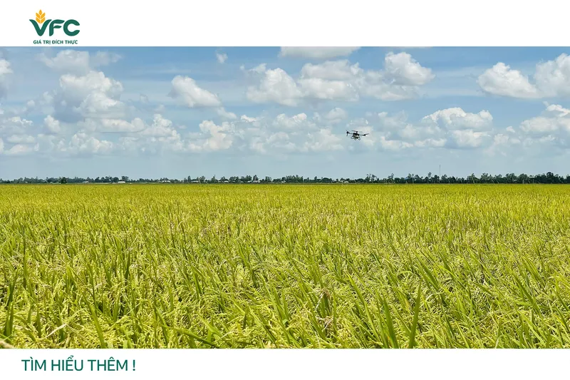 Sản phẩm anh dai dien — Công Ty Cổ Phần Khử Trùng Việt Nam - Chi Nhánh Đà Nẵng — MST 0302327629