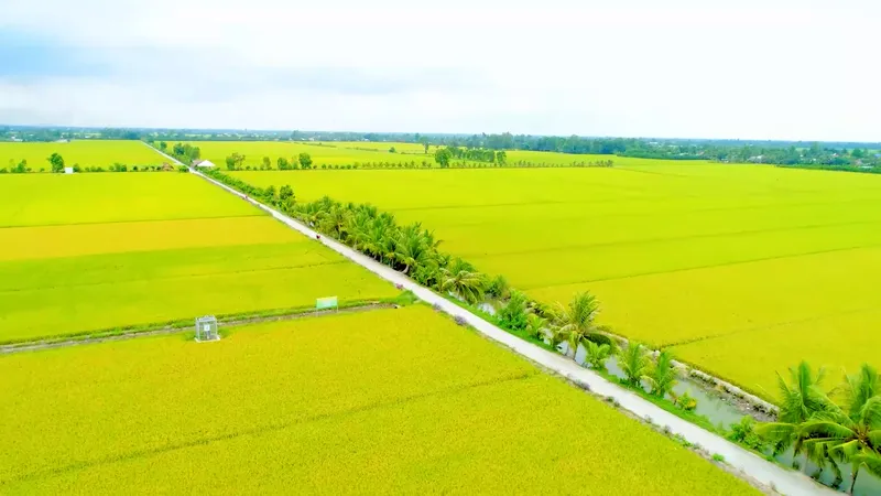 Sản phẩm xu ly 16 9 202501 17 22 26still282 — Công Ty Cổ Phần Khử Trùng Việt Nam - Chi Nhánh Đà Nẵng — MST 0302327629