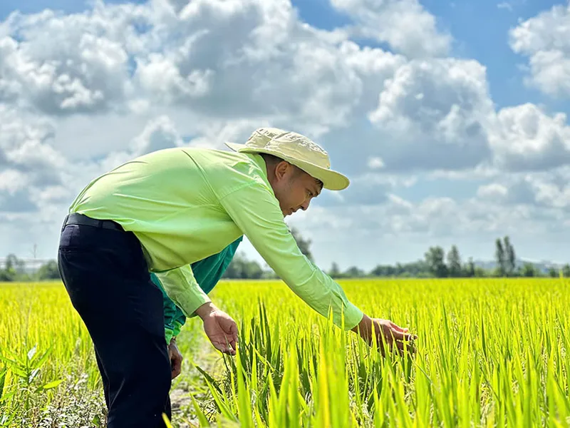 Sản phẩm z6576636259376 e6dc42a98f5e2d230e6ec9cd1684af37 — Công Ty Cổ Phần Khử Trùng Việt Nam - Chi Nhánh Đà Nẵng — MST 0302327629
