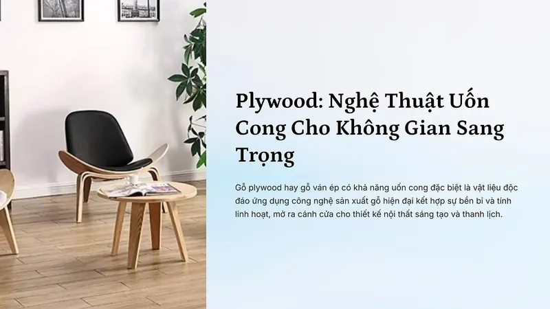 Sản phẩm 1 plywood nghe thuat uon cong cho khong gian sang trong — Chi Nhánh Công Ty TNHH Ván ép Cơ Khí Xây Dựng Nhật Nam — MST 0302345716