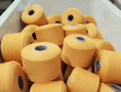 Sản phẩm Trang chu nhuom gia cong soi_2861520163380_s_ — Công Ty TNHH Sản Xuất Thương Mại Dịch Vụ Nhất Trí — MST 0302372692