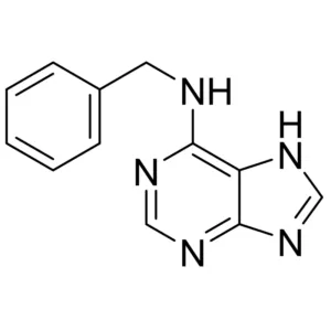 Sản phẩm 6 Benzylaminopurine 300x300 — Công Ty Trách Nhiệm Hữu Hạn T.H.M — MST 0302446009
