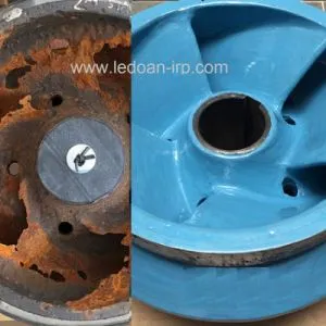 Sản phẩm 538762834202 — Công Ty TNHH Lê Đoàn — MST 0302449641