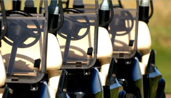 Sản phẩm xe_golf — ắc Quy Thành Công - Công Ty TNHH ắc Quy Thành Công — MST 0302449842