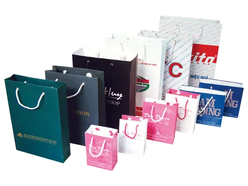Sản phẩm Paper Bag 11 — In ấn Sáng Tạo - Công Ty TNHH Thiết Kế Tạo Mẫu & In ấn Sáng Tạo — MST 0302515647