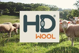 Sản phẩm dropdown_hdwool — Công Ty TNHH Shinih Việt Nam — MST 0302521464