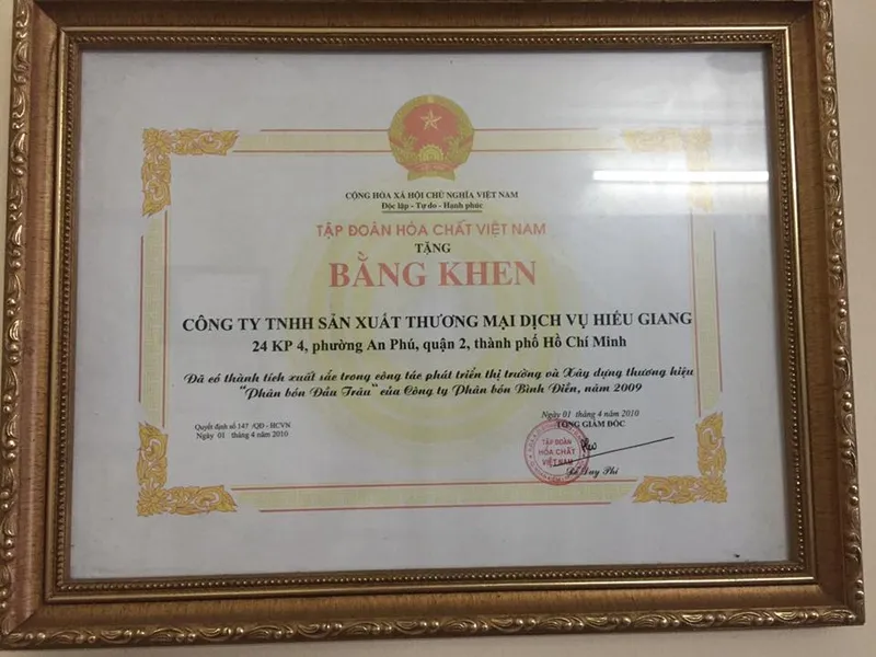 Sản phẩm 0585343 — Công Ty TNHH Sản Xuất Dịch Vụ Thương Mại Hiếu Giang — MST 0302549036