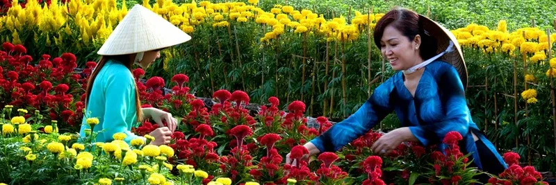 Sản phẩm 0658550472436530 — Công Ty TNHH Sản Xuất Dịch Vụ Thương Mại Hiếu Giang — MST 0302549036