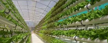 Sản phẩm 0692787044424520 — Công Ty TNHH Sản Xuất Dịch Vụ Thương Mại Hiếu Giang — MST 0302549036
