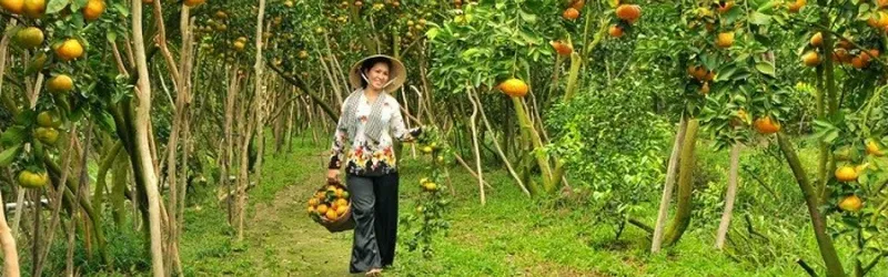 Sản phẩm 6015176769672420 — Công Ty TNHH Sản Xuất Dịch Vụ Thương Mại Hiếu Giang — MST 0302549036