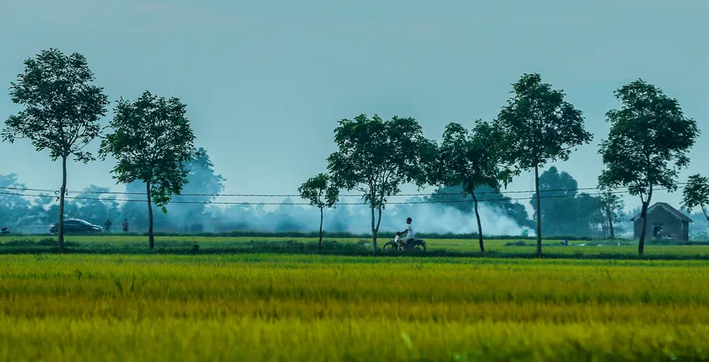 Sản phẩm 7377038383683060 — Công Ty TNHH Sản Xuất Dịch Vụ Thương Mại Hiếu Giang — MST 0302549036