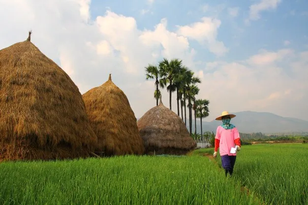 Sản phẩm 574235677361 — Công Ty TNHH Sản Xuất Dịch Vụ Thương Mại Hiếu Giang — MST 0302549036