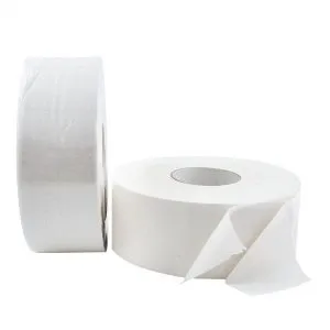 Sản phẩm Giay ve sinh cuon lon Vinh Hue 600 gr 1 300x300 — Công Ty Cổ Phần Giấy Vĩnh Huê — MST 0302566539