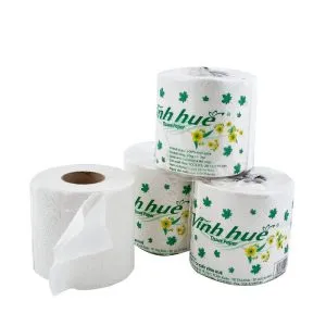 Sản phẩm Giay ve sinh hoa mai Vinh Hue 2 300x300 — Công Ty Cổ Phần Giấy Vĩnh Huê — MST 0302566539