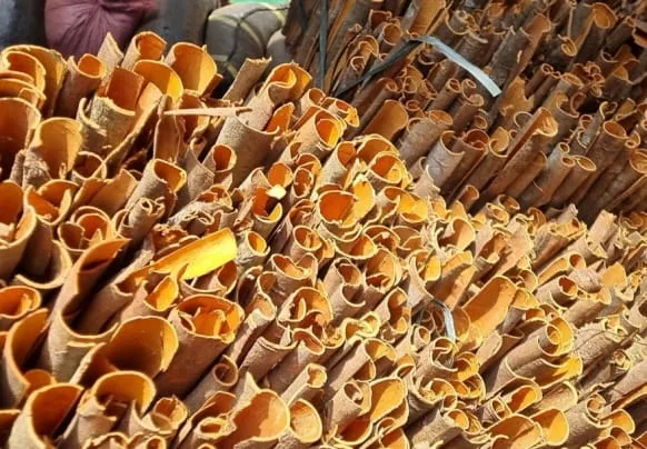 Sản phẩm cinnamon vietnamsupplier khuestar 1956 min 9936 — Nông Sản Sao Khuê - Công Ty TNHH Thương Mại Xuất Nhập Khẩu Sao Khuê — MST 0302613524