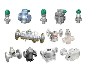 Sản phẩm dhi group steam 1 — Công Ty TNHH Thương Mại - Kỹ Thuật Công Nghiệp Đen - Ta — MST 0302628175