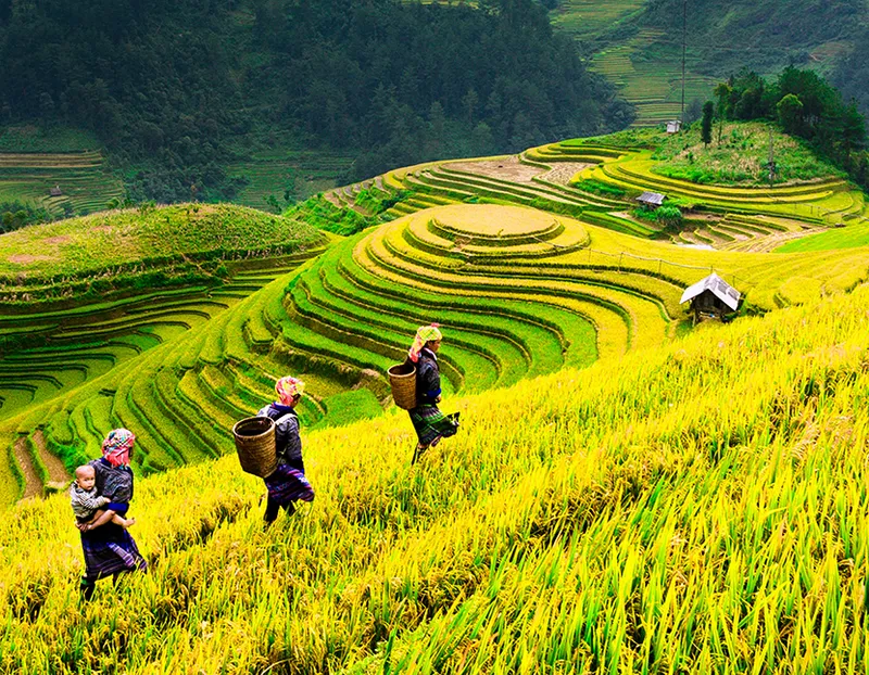 Sản phẩm Vietnam full discovery 360x280 — Blue Sky Travel - Công Ty TNHH Du Lịch Thiên Thanh — MST 0302666075