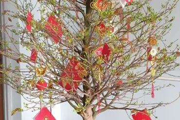 Sản phẩm 272806819_3074649892748986_4860612068251953317_n 370x247 — Ngói Constrexim - Công Ty Cổ Phần Thương Mại Đầu Tư Và Xây Dựng Constrexim — MST 0302673555