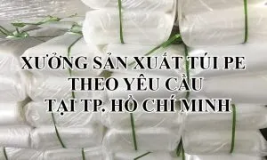 Sản phẩm tui pe theo yeu cau 6 300x180 — Bao Bì Poma - Công Ty TNHH Sản Xuất Và Thương Mại Bảo Mã — MST 0302724400
