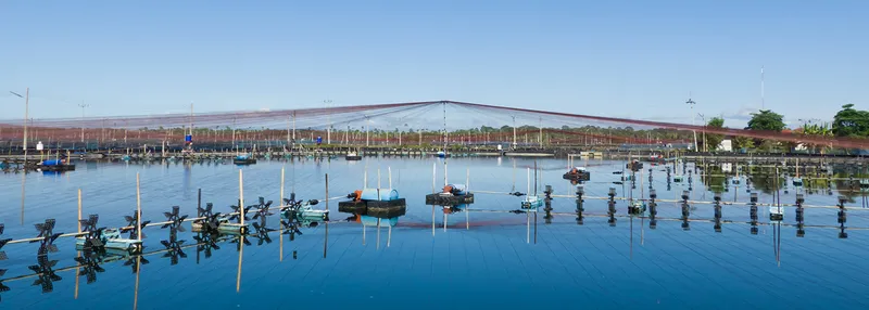 Sản phẩm Shrimp farm 1102962561 — Công Ty TNHH Thương Mại Sản Xuất Tân Hóa — MST 0302747006