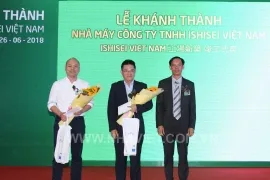 Sản phẩm (270x180)_crop__653H3166_CROP — Công Ty TNHH Xây Dựng Nhà Việt — MST 0302786358