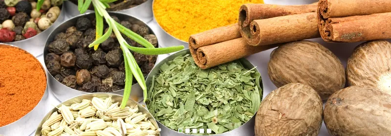 Sản phẩm 347096167904370 — Cơ Sở Gia Vị Bảo Ngọc — MST 0302787633