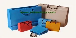 Sản phẩm in tui giay 1 2 600 x 300 300x150 — Công Ty Trách Nhiệm Hữu Hạn In Thành Mỹ — MST 0302798018