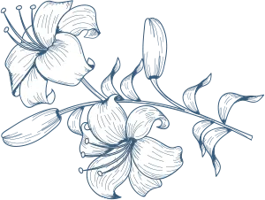 Sản phẩm vector image 1 — Ô Dù Trung Kiên - Công Ty TNHH Trung Kiên — MST 0302814622