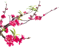 Sản phẩm bottomleft — Công Ty TNHH Thương Mại Và Sản Xuất Tường Việt — MST 0302853607