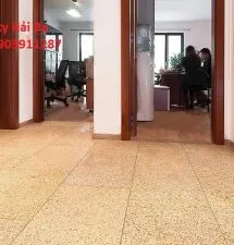 Sản phẩm 010470573659 — Công Ty TNHH Sản Xuất Thương Mại Hải Ba — MST 0302863387