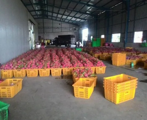 Sản phẩm 7 — Công Ty TNHH Cơ Điện Lạnh Tân Và Kỳ — MST 0302895540