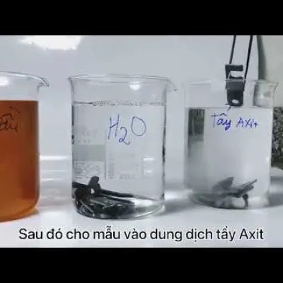 Sản phẩm 0 1 1764386410.jpg — Công Ty TNHH Phốt Phát — MST 0302905005