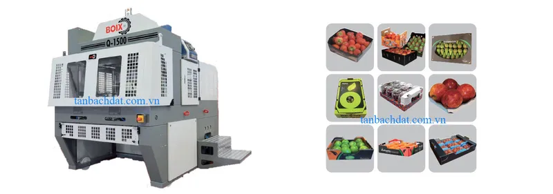 Sản phẩm 339915648904207 — Máy Đóng Gói Tân Bách Đạt - Công Ty TNHH Sản Xuất - Thương Mại - Xuất Nhập Khẩu
Tân Bách Đạt — MST 0302930795