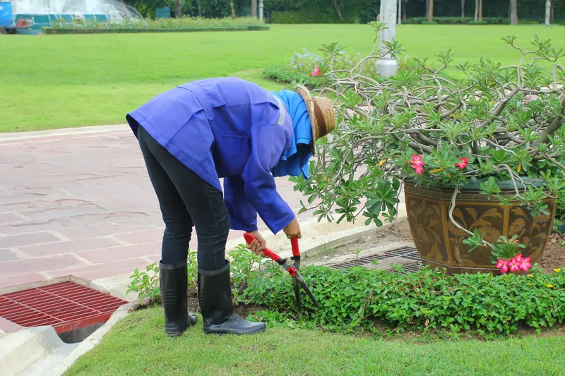 Sản phẩm cham soc cay xanh nhonviet vn — Vệ Sinh Công Nghiệp Nhơn Việt - Công Ty TNHH Nhơn Việt — MST 0302975080