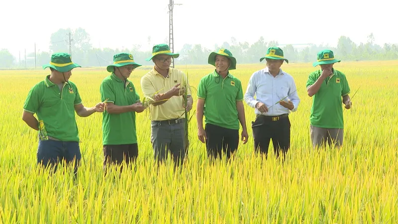 Sản phẩm 1 anh — Công Ty Cổ Phần Phân Bón Bình Điền — MST 0302975517