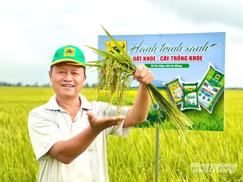 Sản phẩm anh 3 155135_237 155139 172229 — Công Ty Cổ Phần Phân Bón Bình Điền — MST 0302975517