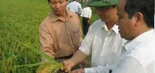 Sản phẩm faq1 — Công Ty Cổ Phần Phân Bón Bình Điền — MST 0302975517