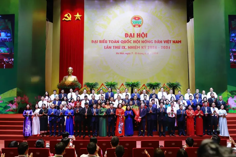 Sản phẩm danh sach ban chap hanh trung uong hoi nong dan viet nam 1421 141700 — Công Ty Cổ Phần Phân Bón Bình Điền — MST 0302975517