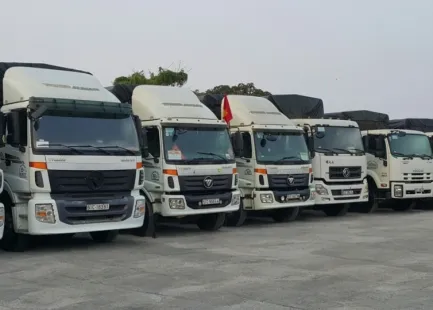 Sản phẩm 4db9897c 4478 4437 9f10 bdad67ada2c2 5737 — Công Ty TNHH Bình Minh Tải — MST 0302977602