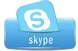 Sản phẩm skype — Khẩu Trang Hoàng Thanh - Công Ty TNHH Thiết Bị Hoàng Thanh — MST 0302983162