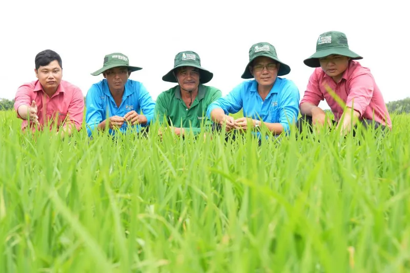 Sản phẩm NongNghiepBenVung — Công Ty Cổ Phần Đầu Tư Hợp Trí — MST 0303015573