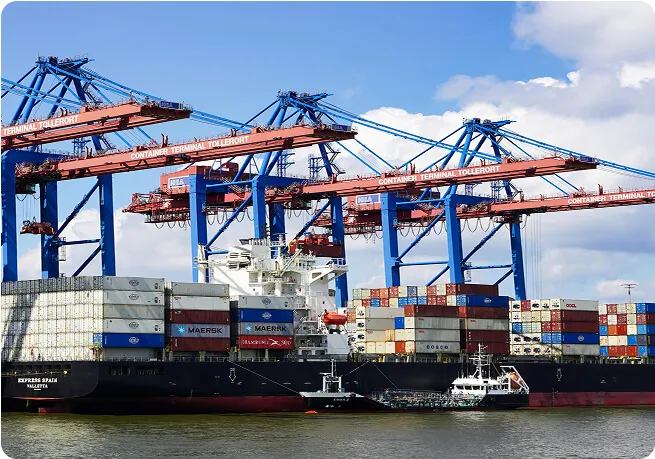 Sản phẩm custom brokerage — Công Ty Cổ Phần Thami Shipping & Airfreight — MST 0303022997