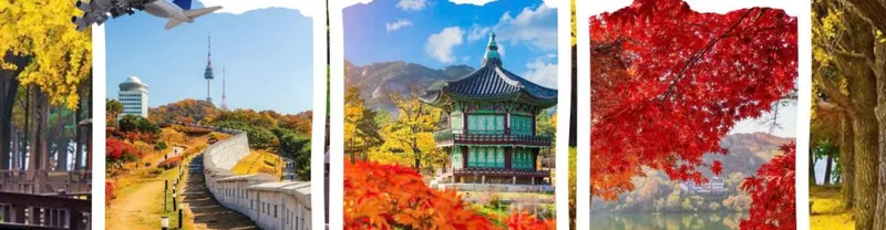 Sản phẩm han quoc 9077 — Hoa Biển - Công Ty TNHH Thương Mại Dịch Vụ Du Lịch Hoa Biển — MST 0303059404