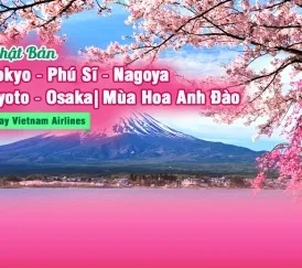 Sản phẩm 08ea9c11a13e232099f38 1158 — Hoa Biển - Công Ty TNHH Thương Mại Dịch Vụ Du Lịch Hoa Biển — MST 0303059404