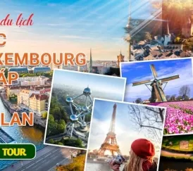 Sản phẩm 2 6 2166 — Hoa Biển - Công Ty TNHH Thương Mại Dịch Vụ Du Lịch Hoa Biển — MST 0303059404