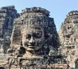 Sản phẩm 4 1686 — Hoa Biển - Công Ty TNHH Thương Mại Dịch Vụ Du Lịch Hoa Biển — MST 0303059404