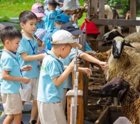 Sản phẩm 5 9693 6508 — Hoa Biển - Công Ty TNHH Thương Mại Dịch Vụ Du Lịch Hoa Biển — MST 0303059404