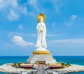 Sản phẩm 6 8248 — Hoa Biển - Công Ty TNHH Thương Mại Dịch Vụ Du Lịch Hoa Biển — MST 0303059404